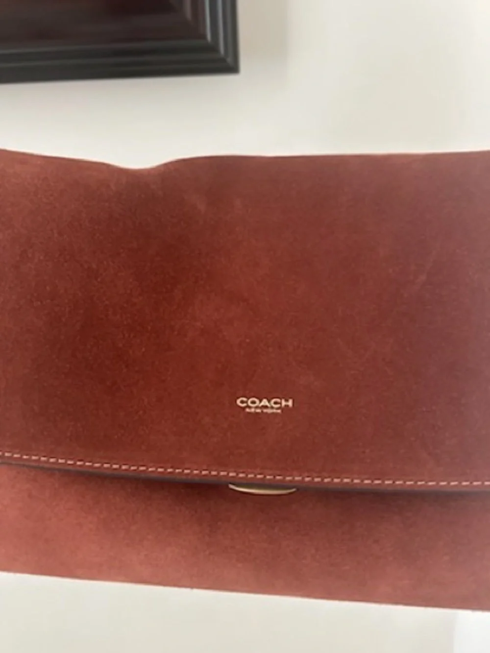 Coach Men’s Suede Messenger Bag in Chestnut